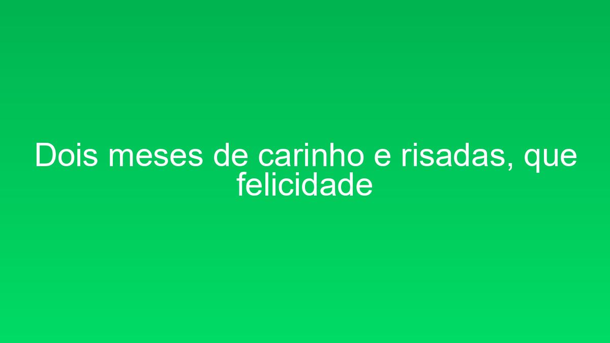 Dois meses de carinho e risadas, que felicidade dois meses de carinho e risadas que felicidade