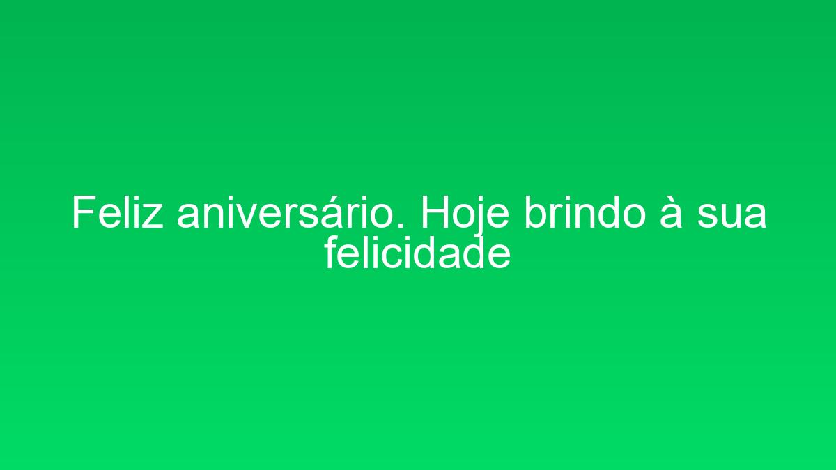 Feliz aniversário. Hoje brindo à sua felicidade feliz aniversario hoje brindo a sua felicidade