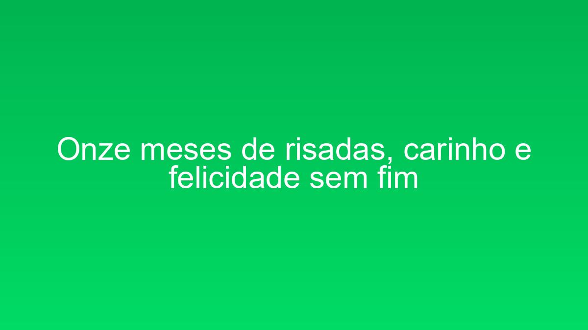 Onze meses de risadas, carinho e felicidade sem fim onze meses de risadas carinho e felicidade sem fim