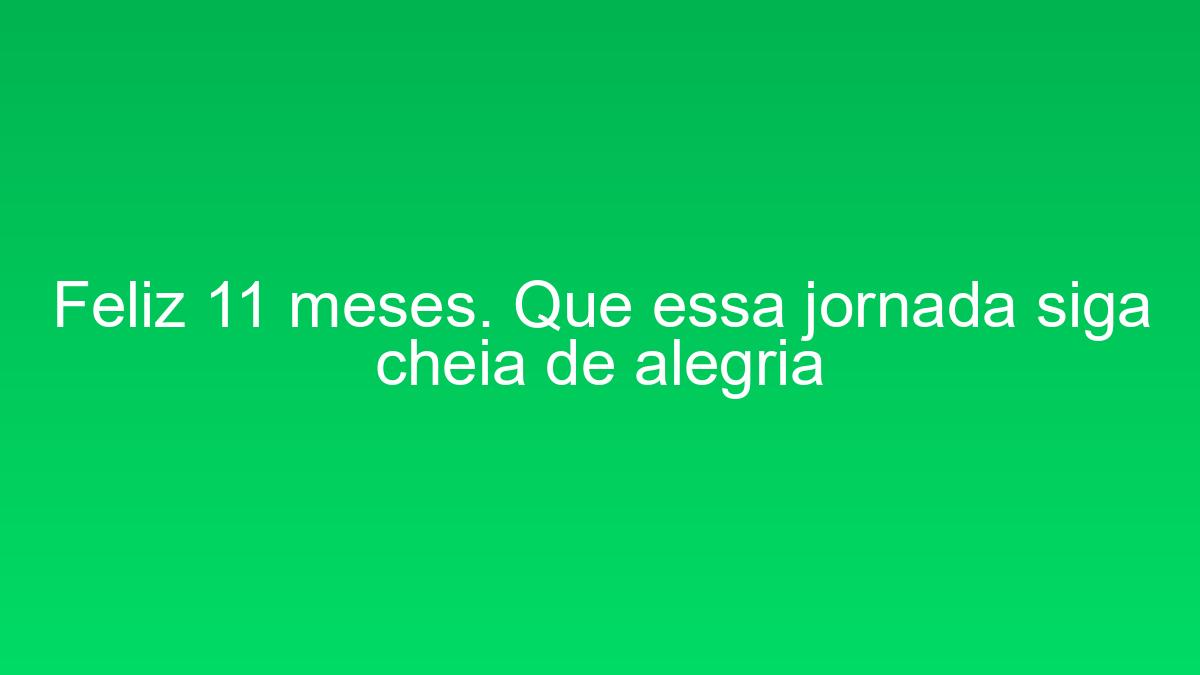 Feliz 11 meses. Que essa jornada siga cheia de alegria feliz 11 meses que essa jornada siga cheia de alegria