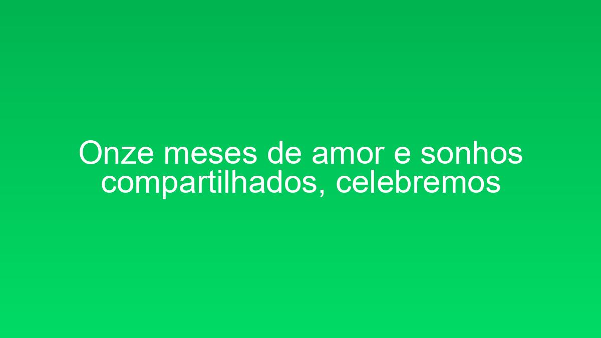 Onze meses de amor e sonhos compartilhados, celebremos onze meses de amor e sonhos compartilhados celebremos